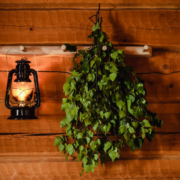 wntr-sauna-by-kesarafla_1699277104